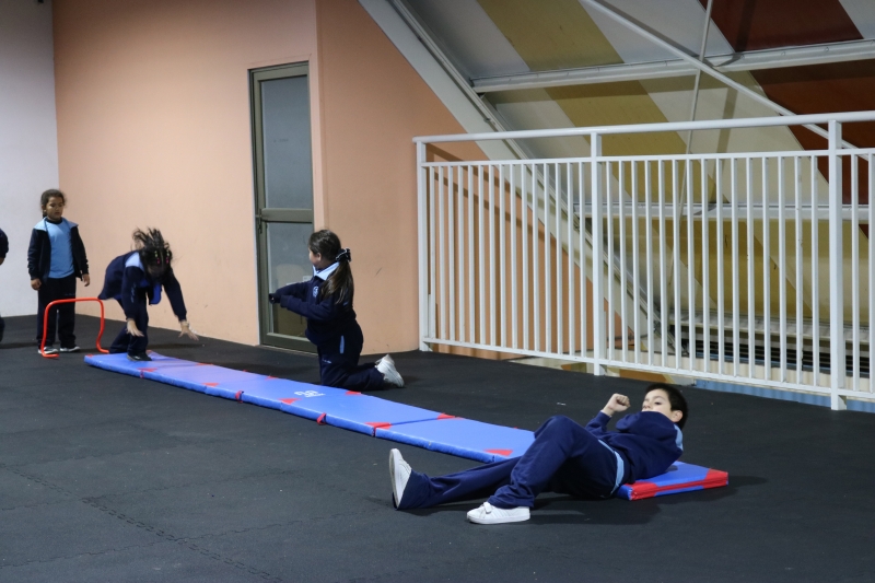 Día de la Actividad Física